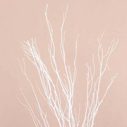 6 Pack White Decorative Birch Tree Branches, Extra Long Natural Dried Willow Twigs Sticks Vase Fillers - 46"