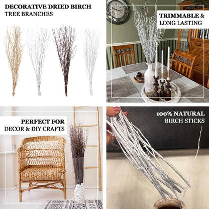 6 Pack White Decorative Birch Tree Branches, Extra Long Natural Dried Willow Twigs Sticks Vase Fillers - 46"