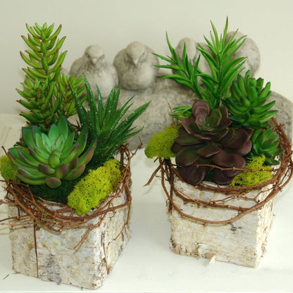 3 Pack Artificial PVC Spike Crassula Decorative Succulent Plants 7"