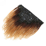 Clip in Human Hair Extensions Kinky Curly Brown - goldenrulehair