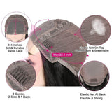 Body Wave 4x4 Lace Closure Wig Human Hair Wig Pre Plucked Ombre Brown