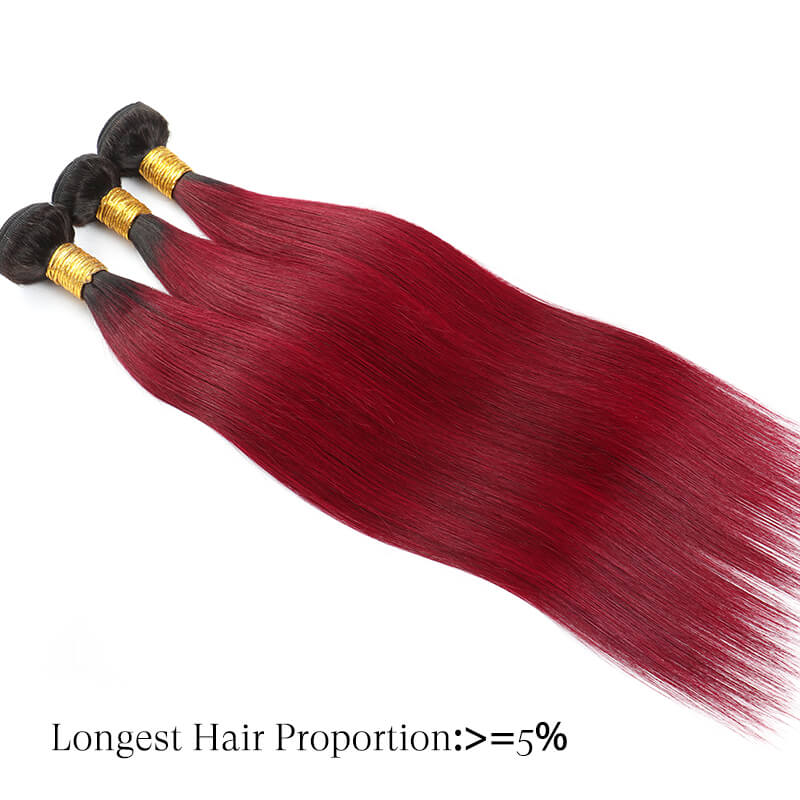 straight human hair bundles burgundy golden rule hair